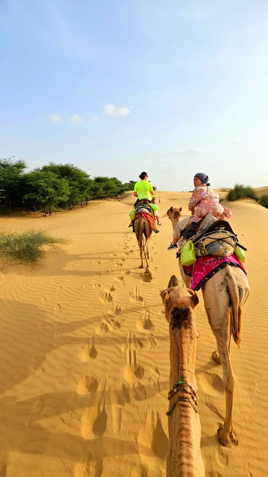 Camel safari on the Sam dunes